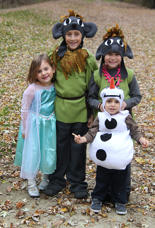 family frozen costume