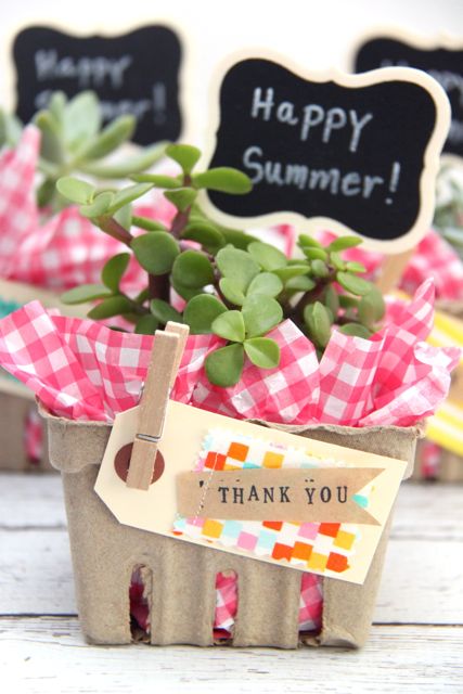 http://smashedpeasandcarrots.com/wp-content/uploads/2016/05/Succulent-Berry-Basket-Gift-Idea2.jpg