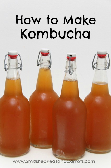 http://smashedpeasandcarrots.com/wp-content/uploads/2016/09/How-To-Make-Kombucha-34.jpg