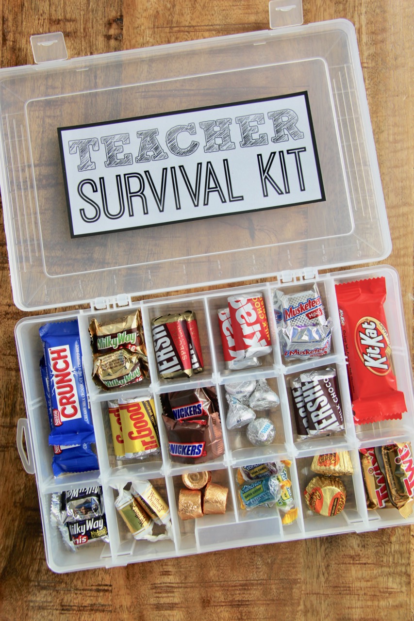 Student Teachers Survival Kit Unique Fun Novelty Gift /& Card All In One