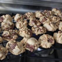 Peanut Butter Cup Cookies for All!