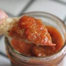 How to Can: Zesty Salsa {Recipe}