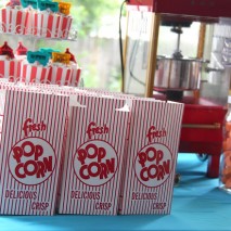 Oliver’s First Birthday: A Circus Party!