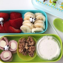 Another School Lunch Idea: Bento Style