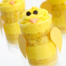 Spring Chick Push-Up Pops
