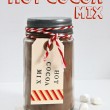 The easiest DIY Hot Cocoa Mix and uses only 2 ingredients! This stuff is so good!