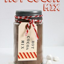 2 Ingredient Hot Cocoa Mix Recipe