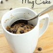 The most amazing Paleo Mug Cake recipe you will ever see! Dairy and Gluten Free too!