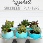 Ombre Dyed Eggshell Succulent Planters