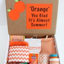 Happy Mail: Orange You Glad It’s Almost Summer Gift Idea