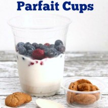 On the Go Snack Idea: Yogurt Parfait Cups