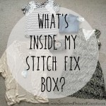 What's inside my Stitch Fix Box // SmashedPeasandCarrots.com