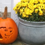 Snoopy Carved Pumpkin for the Peanuts Movie…so cute!! // SmashedPeasandCarrots.com