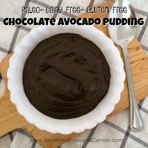 Paleo Chocolate Avocado Pudding
