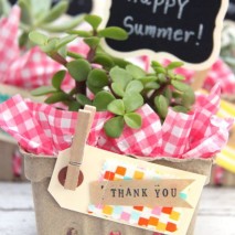 Succulent Berry Basket Gift Idea