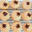Halloween Spider Cupcakes // SmashedPeasandCarrots.com