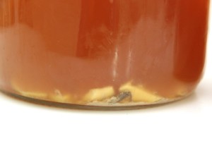 How to Make Kombucha: The Second Fermentation - Smashed Peas & Carrots