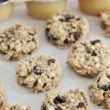 Gluten Free Vegan Oatmeal Raisin Cookies
