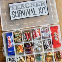 Teacher Survival Kit with FREE Printable